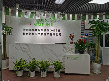 企業(yè)集團(tuán)租擺案例